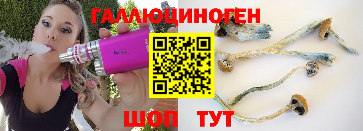 Галлюциногенные грибы Psilocybe  Вход с VPN  Ковров 